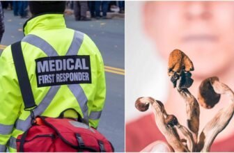 Denver Begins Psychedelic Training For First Responders