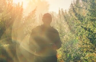 Number of Kansas Farms Licensed Grow Hemp Falls to 41 from Peak of 200+