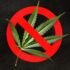California Swindler Pleads Guilty to Federal Charges in Fraudulent Hemp Scheme