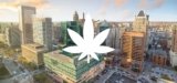 Maryland Supreme Court Declines to Review Injunction Against State’s Anti-Intoxicating Hemp Products Law