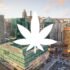 New York Cannabis Regulators Ban Delta-8, THC-A, THC-O