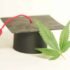 South Carolina Bill Would Regulate and Tax Intoxicating Hemp-Derived Cannabinoids