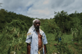 Growing Ganja in Jamaica | High Times