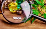How Long is CBD Detectable in Urine? – Natural CBD & hemp oil products