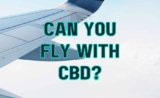 Can You Fly with CBD? Air Travel Regulations for 2024 – NanoCraft