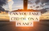Can You Take CBD Oil on a Plane? Navigating Air Travel with CBD Oil – NanoCraft