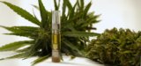 Georgia Files $150M Lawsuit Over Intoxicating Hemp Product Sales