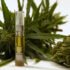 Nurturing Winter Wellness: A Holistic Approach with CBD and Mushrooms