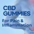 Florida Passes Ban on Delta-8 and Other Hemp Products