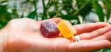 Review Finds Many Hemp and CBD Products Sold on Amazon Mislabeled