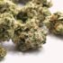 Hawaii Lawmakers Amend Automatic MJ Expungement Bill to Single-County Pilot Program
