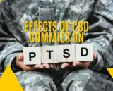 Understanding the Effect of CBD Gummies on PTSD – NanoCraft