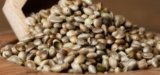 New York Governor Vetoes Bills to Legalize Hemp for Animal Feed