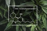 HHC- hexahydrocannabinol – Natural CBD & hemp oil products