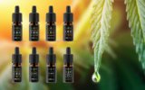 How to Choose the Right CBD Drops for Your Needs? – Natural CBD & hemp oil products