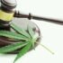 22 AGs Call on Congress to End Hemp Intoxicants ‘Loophole’ in Federal Farm Bill