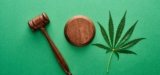 22 AGs Call on Congress to End Hemp Intoxicants ‘Loophole’ in Federal Farm Bill