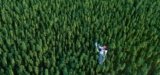 Hemp Growing Manual Released By Private, Academic, and Government Researchers