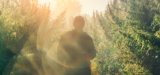 Number of Kansas Farms Licensed Grow Hemp Falls to 41 from Peak of 200+