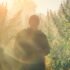 California Sues Multiple Hemp Companies Claiming State Law Violations