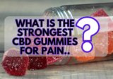 The Strongest CBD Gummies for Pain Management – NanoCraft